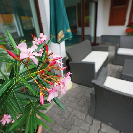 Landhotel Gasthof Zwota Клингенталь Экстерьер фото