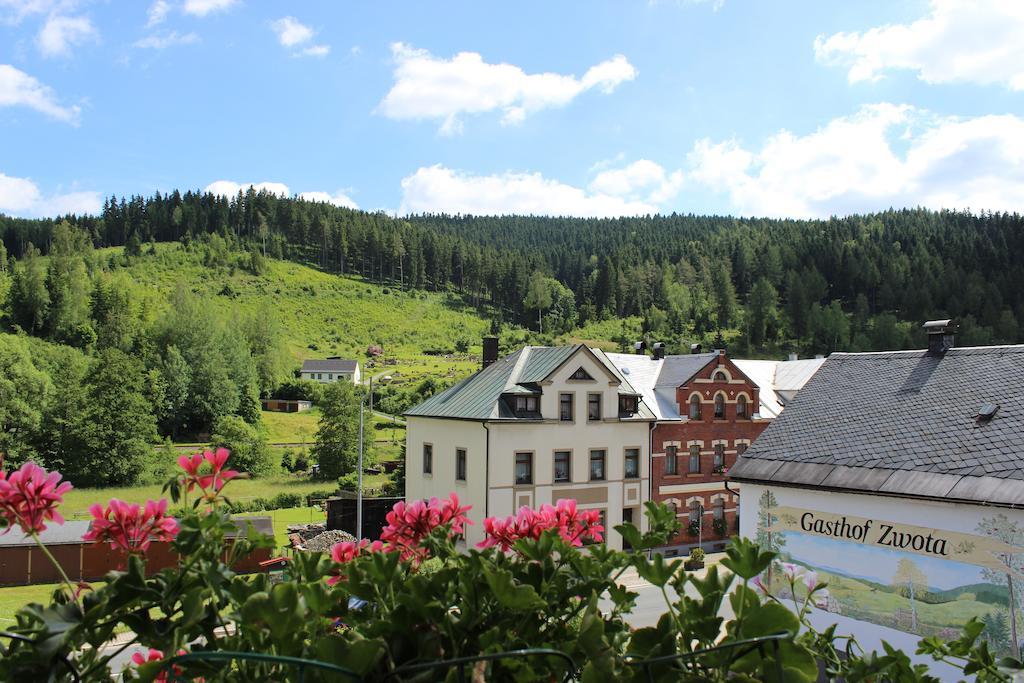 Landhotel Gasthof Zwota Клингенталь Экстерьер фото